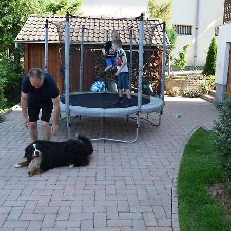 Apartment In - Balaton 35514 *