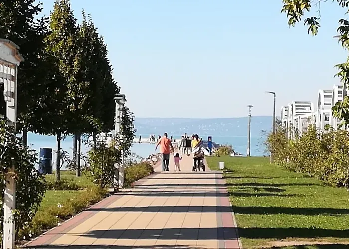 In - Balaton 35514 *